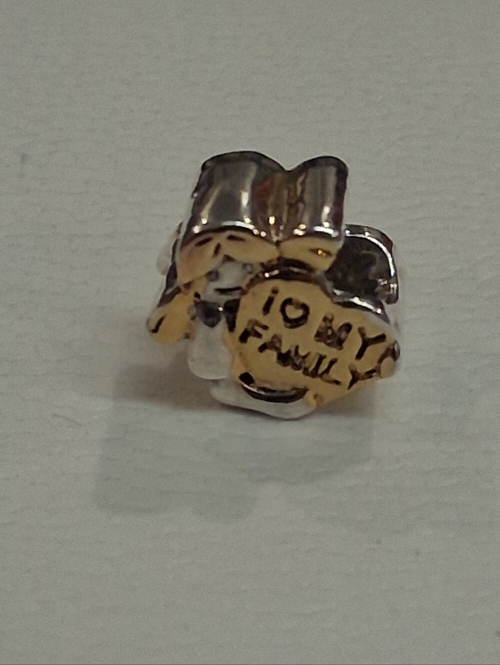 Love My Famiy Two-tone Charm